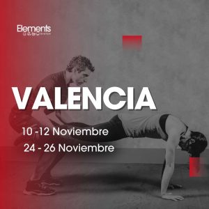Curso-Certificación-Elements-Valencia-noviembre-2023
