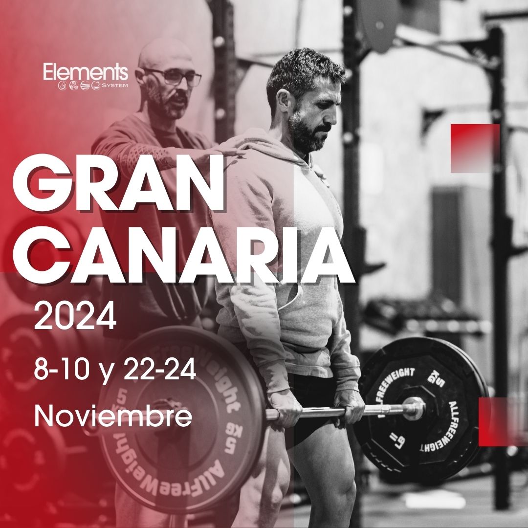 Gran Canaria Noviembre 2024. curso Certificación Elements System