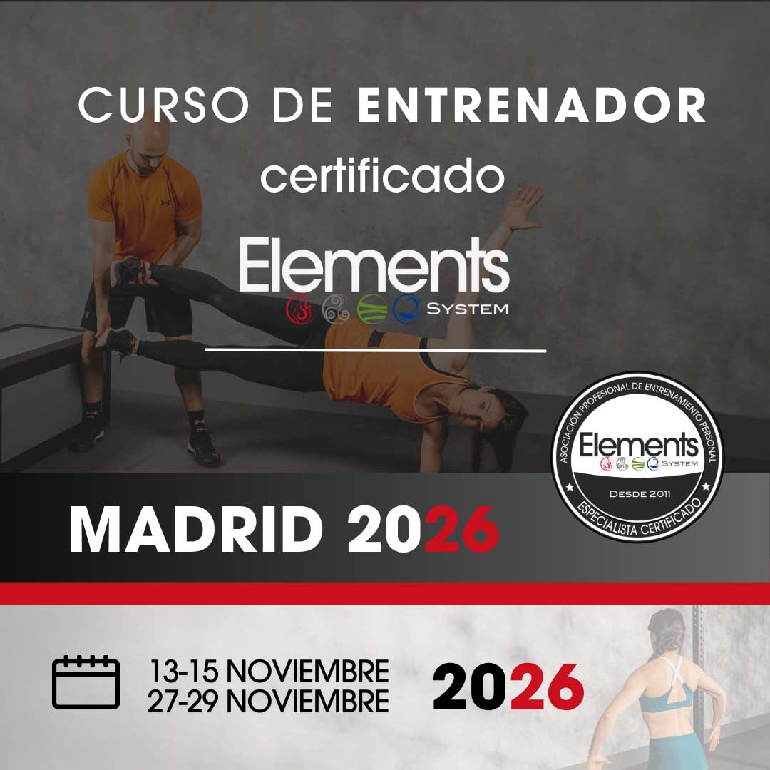curso de certificacion elements system madrid noviembre 2026